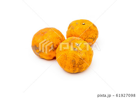 Close up of Withered Orange on iSolated White Close up of Withered Orange on iSolated White 61927098