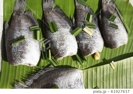 Set of sun dried gourami fish on Banana leaf Set of sun dried gourami fish on Banana leaf 61927637