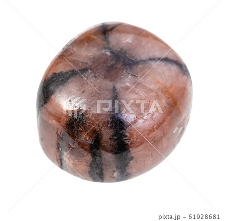 polished Chiastolite gemstone isolated on white 61928681
