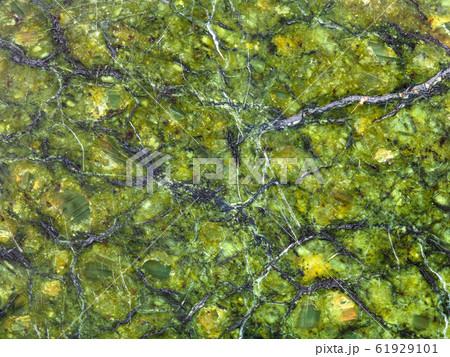 texture of polished natural serpentinite rock texture of polished natural serpentinite rock 61929101