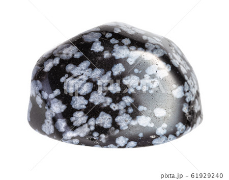 polished Snowflake Obsidian gem isolated 61929240