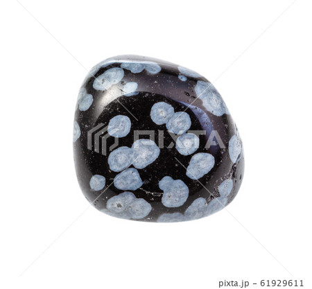 tumbled Snowflake Obsidian gem stone isolated 61929611