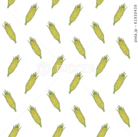 Vector seamless pattern of yellow sketch corn Vector seamless pattern of yellow sketch corn 61930439