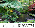 安らぎの庭園 61933774