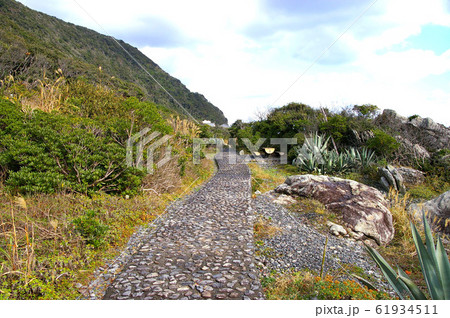 高知 乱礁遊歩道 高知 乱礁遊歩道 61934511