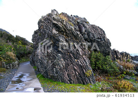 高知 乱礁遊歩道 高知 乱礁遊歩道 61934513