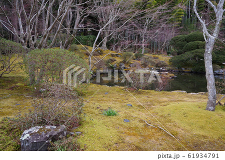 松島　円通院の風景 61934791
