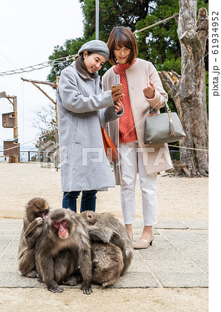 女子旅 冬（撮影協力：高崎山自然動物園） 61934952
