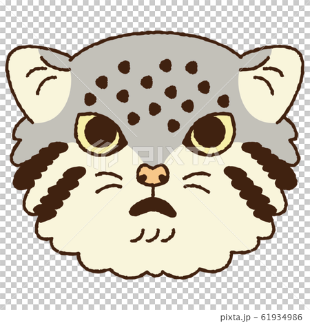 Manul cat face face front 61934986