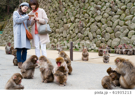 女子旅 冬(撮影協力:高崎山自然動物園) 女子旅 冬(撮影協力:高崎山自然動物園) 61935213