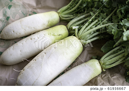 食品 食品 61936667