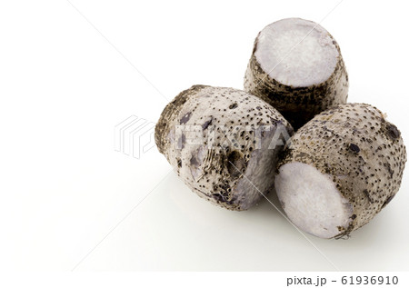 田芋 ターンム  61936910