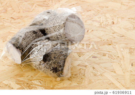 田芋 ターンム  61936911