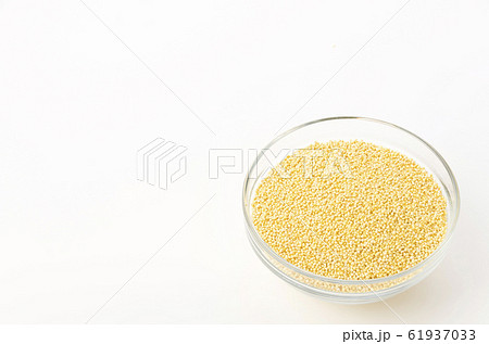 もちきび もちきび 61937033