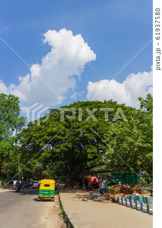 インド_トゥトゥクのある風景 インド_トゥトゥクのある風景 61937580