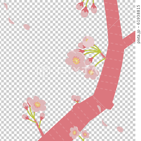 ピンク色の桜のイラスト 61938815