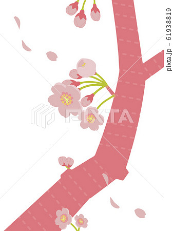A4比率 ピンク色の桜のイラストのイラスト素材 61938819 Pixta