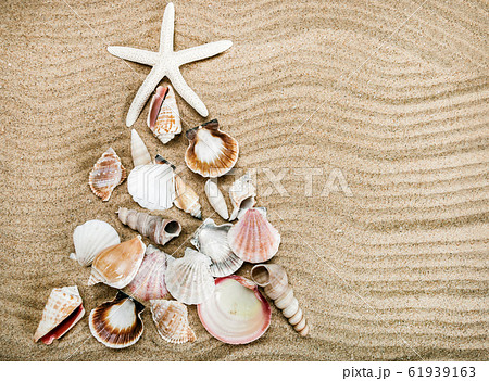 Christmas tree lined with different shells on the sea sand Christmas tree lined with different shells on the sea sand 61939163