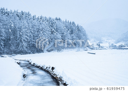 雪国 61939475