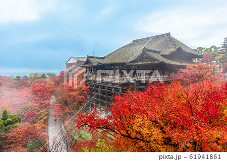 清水寺 舞台 秋 小雨のイラスト素材