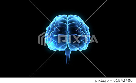 脳 頭脳 ブレイン 頭 あたま ヘッド マインド アイデア 3dイラスト Cgのイラスト素材