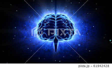 脳 頭脳 ブレイン 頭 あたま ヘッド マインド アイデア 3Dイラスト CG 脳 頭脳 ブレイン 頭 あたま ヘッド マインド アイデア 3Dイラスト CG 61942428