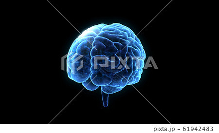 脳 頭脳 ブレイン 頭 あたま ヘッド マインド アイデア 3dイラスト Cgのイラスト素材