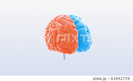 脳 頭脳 ブレイン 頭 あたま ヘッド マインド アイデア 3dイラスト Cgのイラスト素材 脳 頭脳 ブレイン 頭 あたま ヘッド マインド アイデア 3dイラスト Cgのイラスト素材