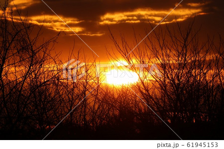 雲:夕日:林:川 雲:夕日:林:川 61945153