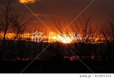 雲:夕日:林:川 雲:夕日:林:川 61945154