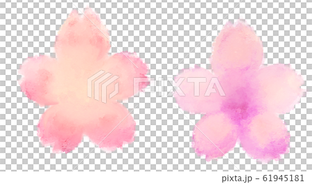 Sakura watercolor Sakura watercolor 61945181