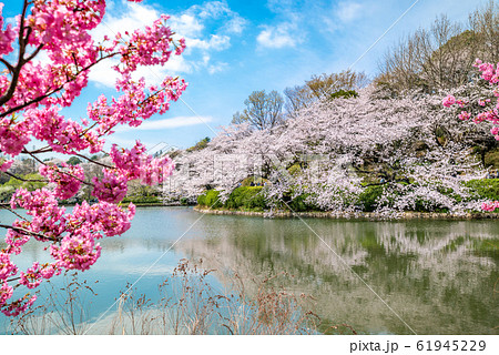 県立 三ツ池公園 61945229
