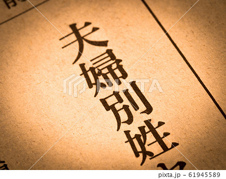 「夫婦別姓」の見出し 「夫婦別姓」の見出し 61945589