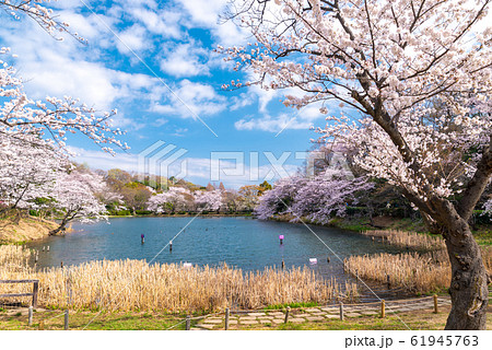 県立 三ツ池公園 61945763