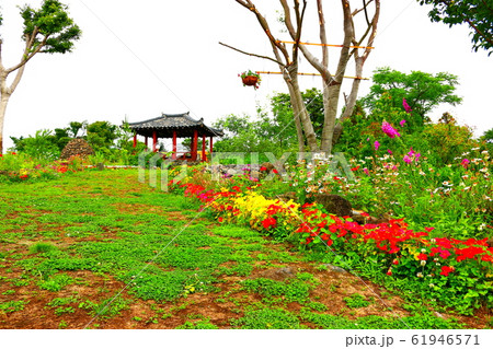 風景 観光 風 61946571