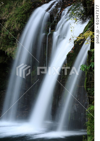 河津七滝　初景滝 61947377