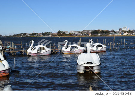 手賀沼（てがぬま） 61948048