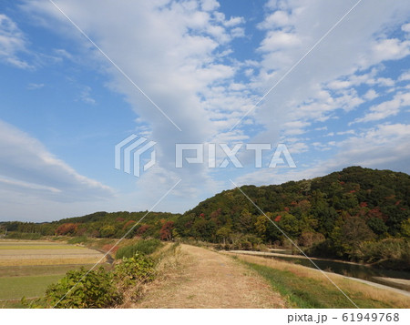 散歩道 散歩道 61949768