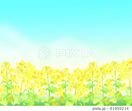 最新 菜の花 畑 イラスト 菜の花畑 イラスト 書き方 Okepictvdde