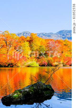 鎌池の紅葉 鎌池の紅葉 61952556