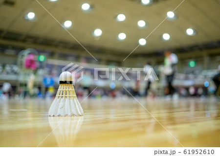 バドミントン試合会場の風景 バドミントン試合会場の風景 61952610