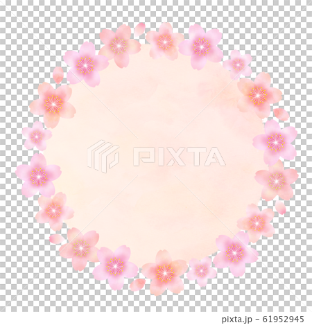 Cherry blossom, flowers, flower Cherry blossom, flowers, flower 61952945