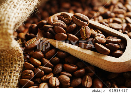 コーヒー豆 コーヒー豆 61953417