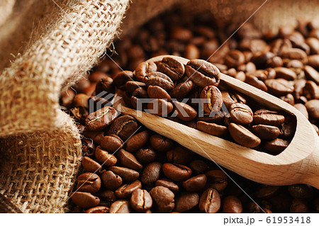 コーヒー豆 コーヒー豆 61953418