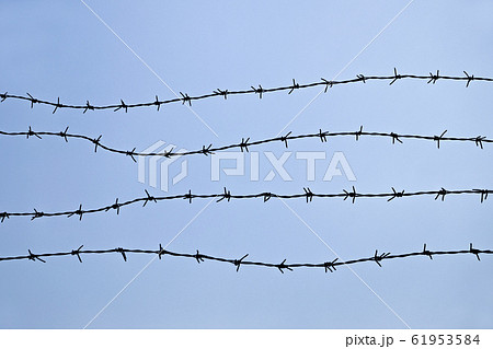 Barb wire fence 61953584