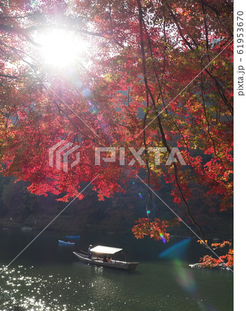京都　嵐山　保津川の紅葉と屋形船 61953670