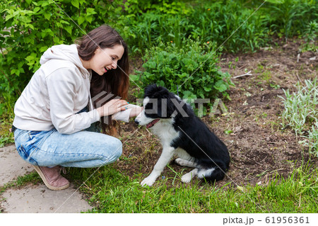 Smiling young attractive woman embracing huging 61956361