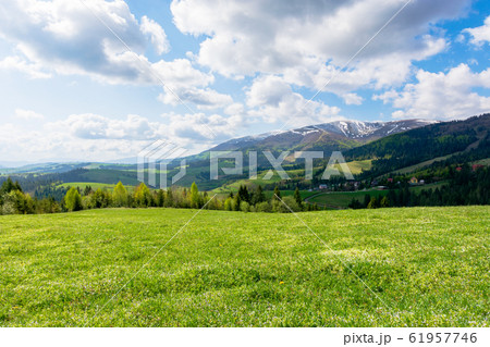 mountainous countryside landscape in spring 61957746