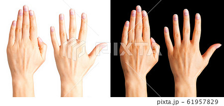 Set of women hands showing palm isolated on a white and black Set of women hands showing palm isolated on a white and black 61957829