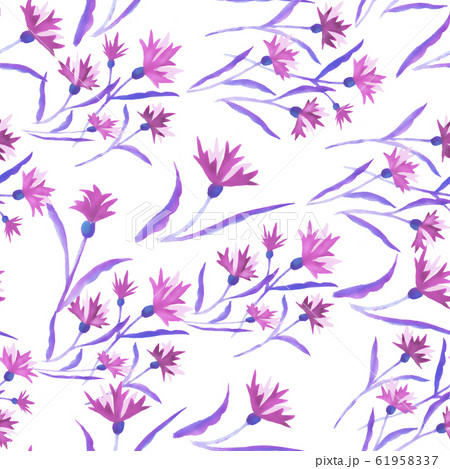 Beautiful watercolor illustration with watercolour blue cornflower on white background. seamless 61958337
